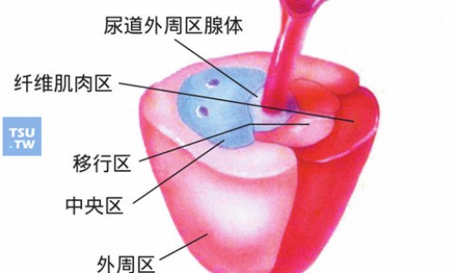 头孢地尼胶囊的作用与副作用-头孢地尼副作用小网 :分享头孢地尼胶囊的作用与副作用-头孢地尼这药很强吗知识