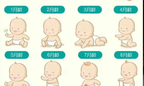 头孢地尼这药很强吗-头孢地尼副作用小网 :分享头孢地尼胶囊的作用与副作用-头孢地尼这药很强吗知识