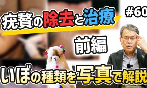 头孢地尼的负作用-头孢地尼副作用小网 :分享头孢地尼胶囊的作用与副作用-头孢地尼这药很强吗知识
